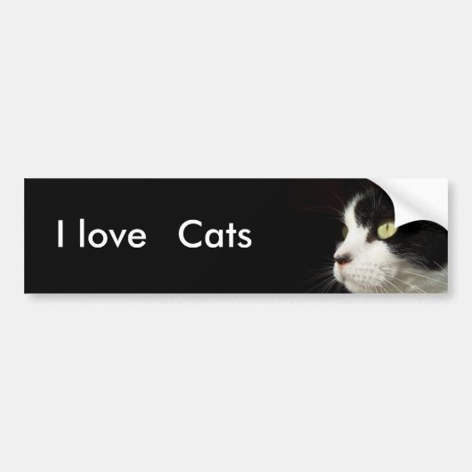 Ik hou van katten-bumper sticker (Voorkant)