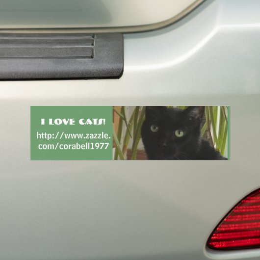 Ik hou van katten! bumpersticker (Op auto)