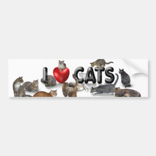 Ik hou van katten bumpersticker