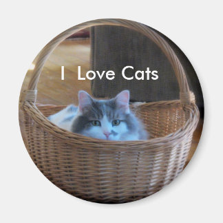 Ik hou van katten magneet