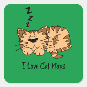 Ik Hou Van Katten Slaapjes, Vierkante Sticker