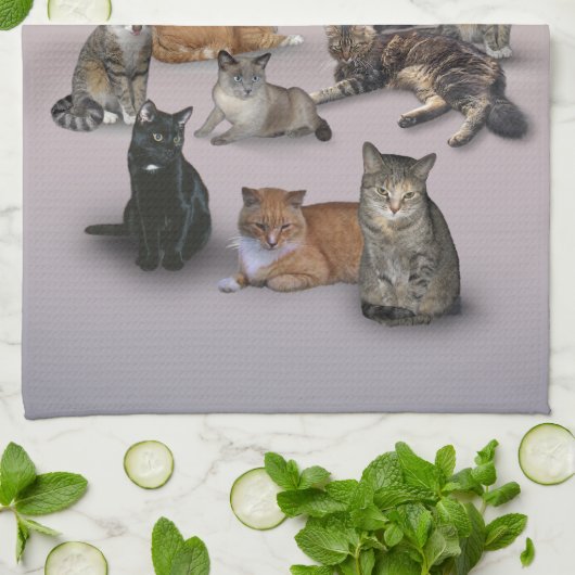 Ik hou van katten theedoek (Gevouwen)