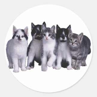 Ik hou van Katten van Junglewalk.com Ronde Sticker