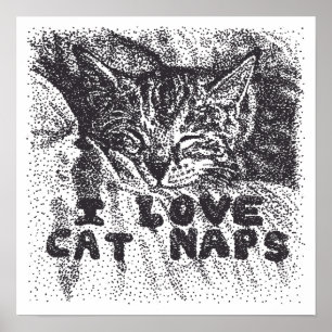 Ik hou van kattenluiers, kat slapen poster