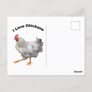 Ik hou van kippen, kippen, humor, grappig briefkaart