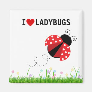 Ik hou van Ladybugs Magnet Magneet