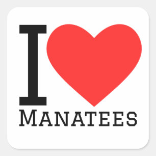 Ik hou van lamantijnen vierkante sticker
