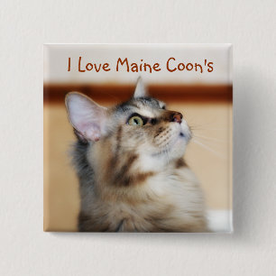 Ik hou van Maine Coon's badge - Maine Coon Kitten Vierkante Button 5,1 Cm