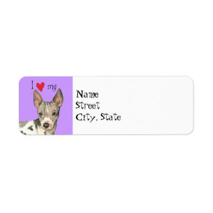Ik hou van mijn Amerikaanse hairless Terrier Etiket