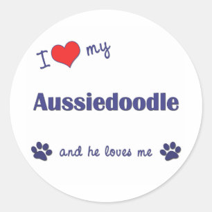 Ik hou van mijn Aussiedoodle (mannelijke hond) Ronde Sticker