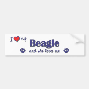 Ik hou van mijn beagle (Vrouw Dog) Bumpersticker