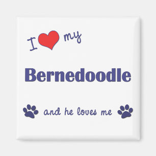 Ik hou van mijn Bernedole (Mannelijke hond) Magneet