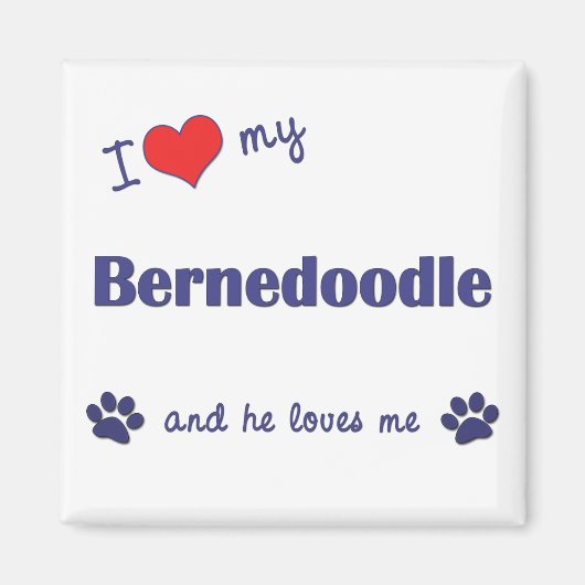 Ik hou van mijn bernedoodle (mannelijke hond) magneet (Voorkant)