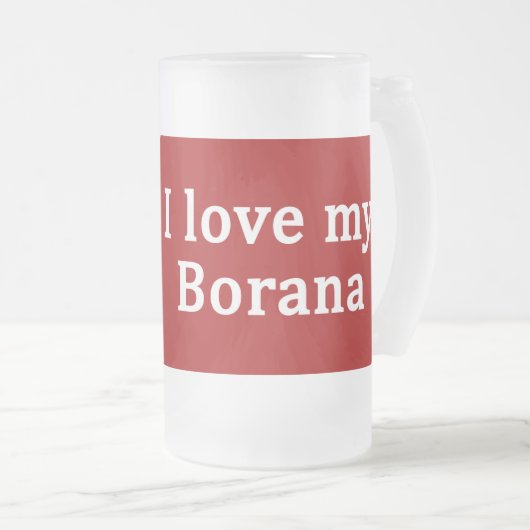 Ik hou van mijn Borana paard Matglas Bierpul (Voorkant rechts)