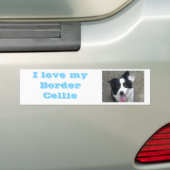 Ik hou van mijn Border Collie Bumber sticker (Op auto)