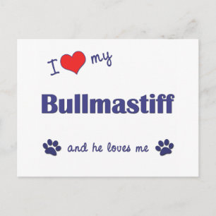Ik hou van mijn Bullmastiff (Mannelijke hond) Briefkaart