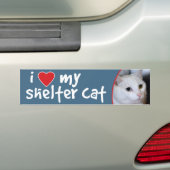 Ik hou van mijn Bumpersticker-All-White kat Bumpersticker (Op auto)