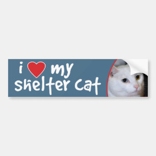 Ik hou van mijn Bumpersticker-All-White kat Bumpersticker