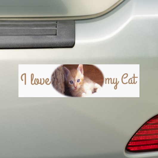 Ik hou van mijn Cat Bumpersticker (Op auto)