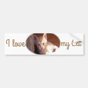 Ik hou van mijn Cat Bumpersticker