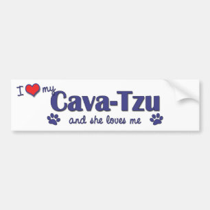 Ik hou van mijn Cava-Tzu (Vrouw Dog) Bumpersticker
