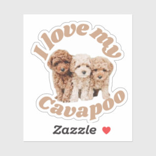 Ik hou van mijn Cavapoo Hondenliefhebber Cavoodle Sticker