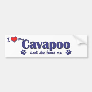 Ik hou van mijn Cavapoo (Vrouw Dog) Bumpersticker