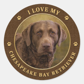 Ik hou van mijn Chesapeake Bay Retriever Ronde Sti Sticker