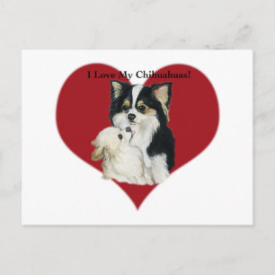 "Ik hou van mijn Chhihuahua" Briefkaart voor de Do