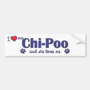Ik hou van mijn Chi-Poo (Vrouw Dog) Bumpersticker
