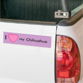 Ik hou van mijn Chihuahua Bumpersticker (Op Truck)
