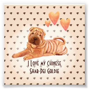 Ik hou van mijn Chinese Shar-Pei naam aangepaste c Foto Afdruk