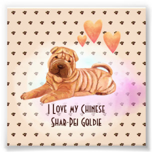 Ik hou van mijn Chinese Shar-Pei Name Custom Carto Foto Afdruk