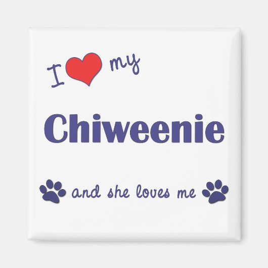 Ik hou van mijn Chiweenie (Vrouw Dog) Magneet (Voorkant)
