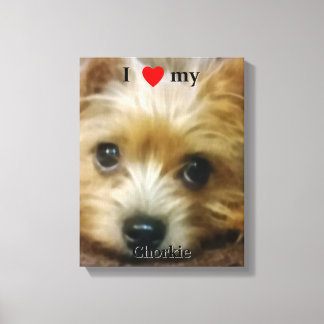 Ik hou van mijn Chorkie Canvas Afdruk