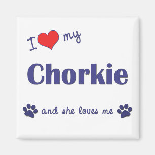 Ik hou van mijn chorkie (Vrouw Dog) Magneet