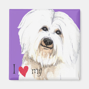 Ik hou van mijn Coton de Tulear Magneet