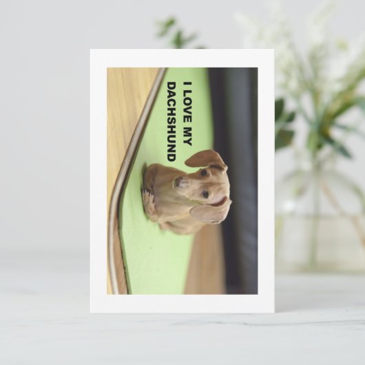 Ik hou van mijn crème teckel met afbeelding bedankkaart (Staand voorkant)
