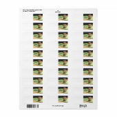 Ik hou van mijn crème teckel met afbeelding etiket (Full Sheet)