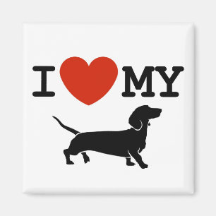 ik hou van mijn dachshund magnet magneet