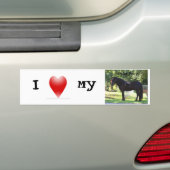 Ik hou van mijn dales Pony bumpersticker (Op auto)