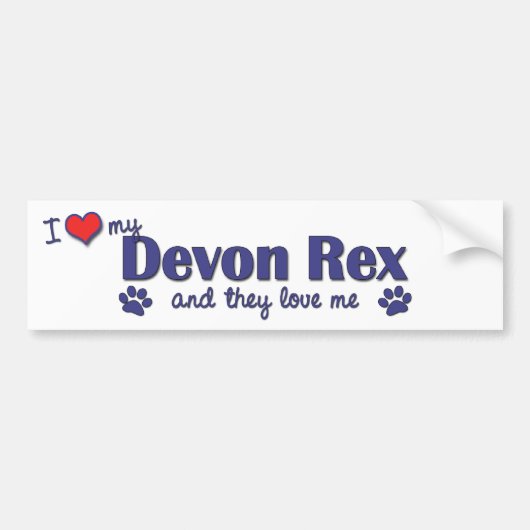 Ik hou van mijn Devon Rex (meerdere katten) Bumpersticker (Voorkant)