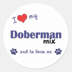 Ik hou van mijn doberman mix (mannelijke hond) ronde sticker
