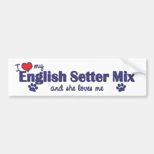 Ik hou van mijn Engelse Setter Mix (Vrouw Dog) Bumpersticker