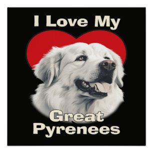 Ik hou van mijn grote Pyreneeën hond Perfect Poster