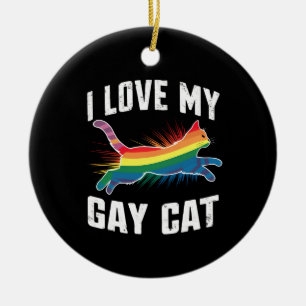 Ik hou van mijn homokat, leuk regenboog Pride LGBT Keramisch Ornament
