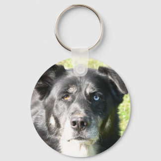 Ik hou van mijn hond Sleutelhanger