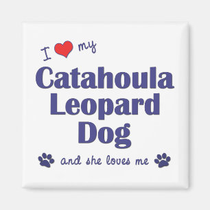 Ik hou van mijn katahoula Leopard Dog (Vrouw Dog) Magneet