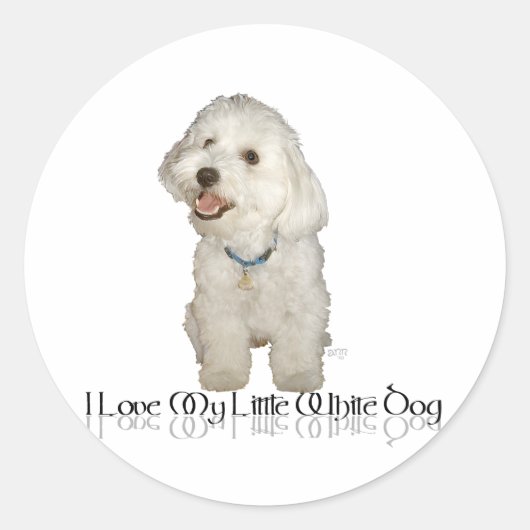 Ik hou van mijn kleine witte hond - Havanees Ronde Sticker (Voorkant)