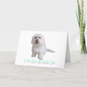 Ik hou van mijn kleine witte hond - Havanese Kaart